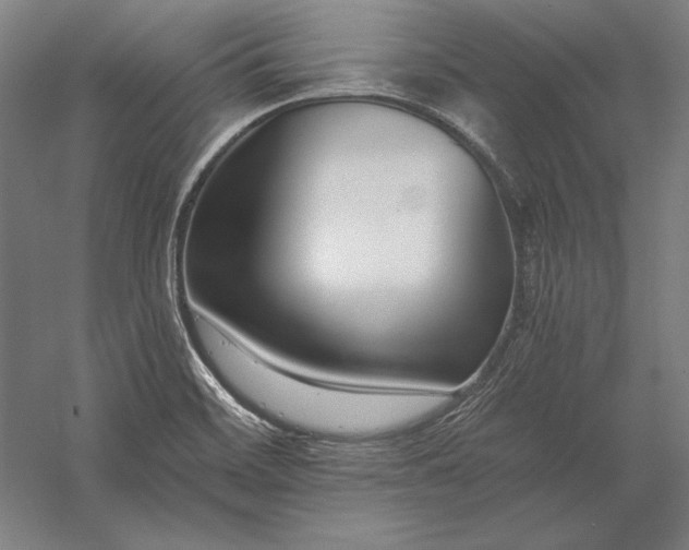 X0000056361468200509091610