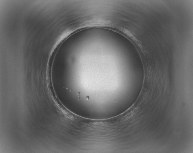 X0000056361469200509091610