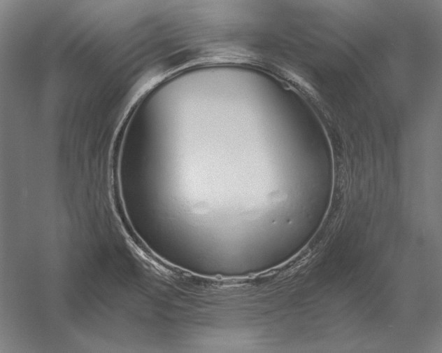 X0000056361471200509091610