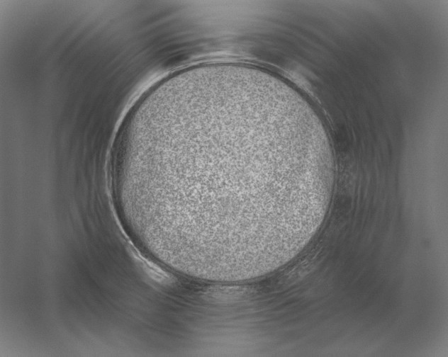 X0000056361474200509091610