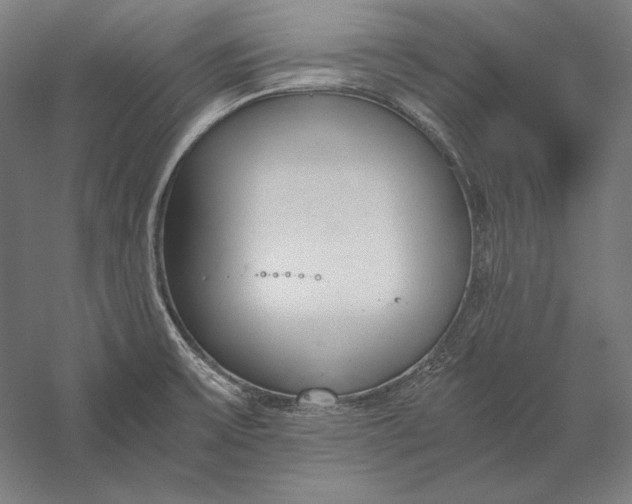 X0000056361475200509091609