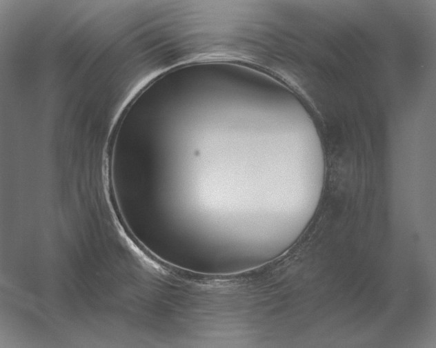 X0000056361476200509091609