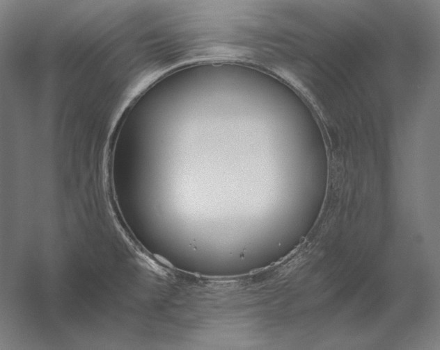 X0000056361477200509091609