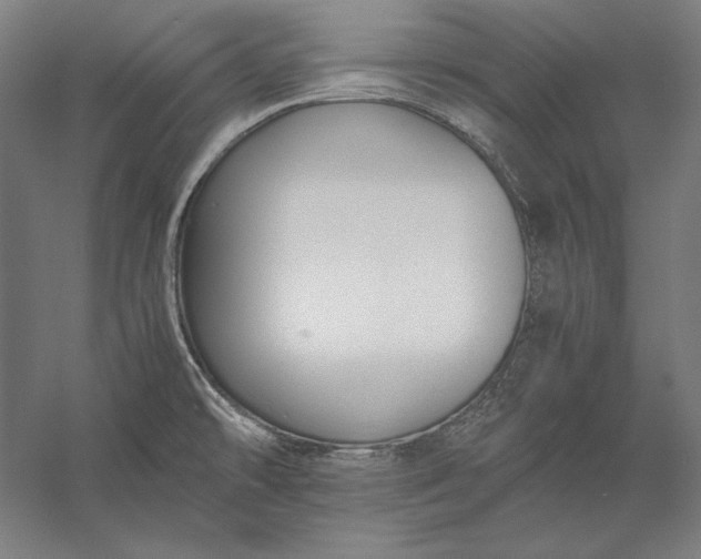 X0000056361478200509091609