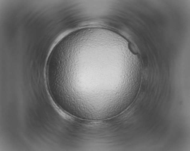 X0000056361482200509091609