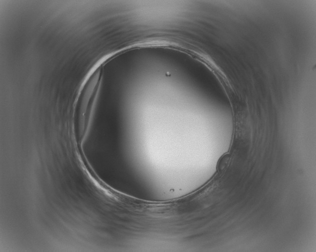 X0000056361484200509091609