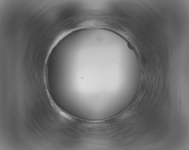 X0000056361486200509091609