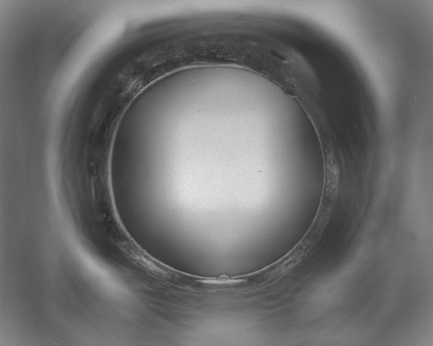 X0000056361487200509091609