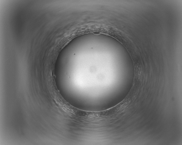 X0000056361489200509091608