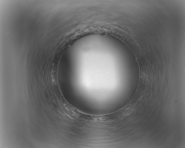 X0000056361490200509091608