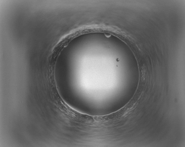 X0000056361494200509091609