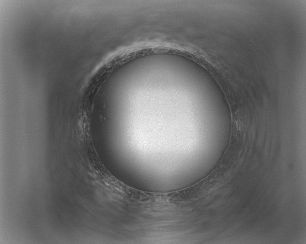 X0000056361495200509091609