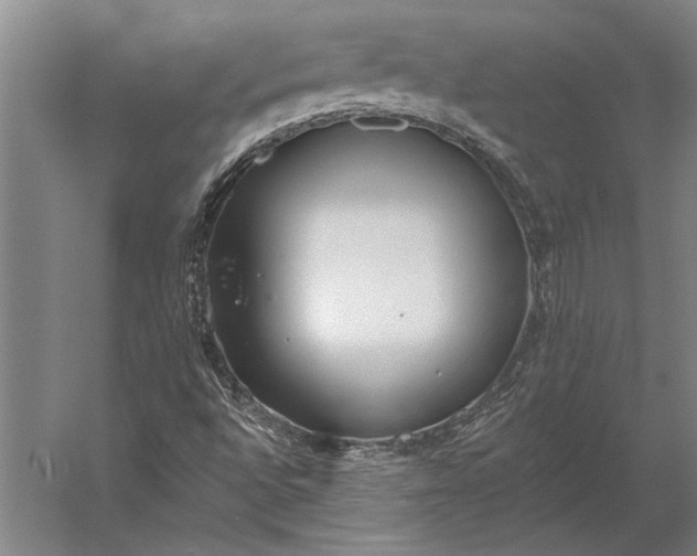 X0000056361496200509091609