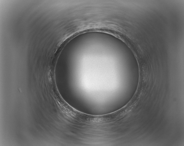 X0000056361497200509091609