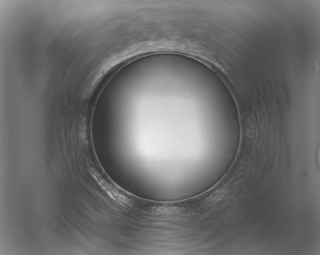 X0000056361499200509091609