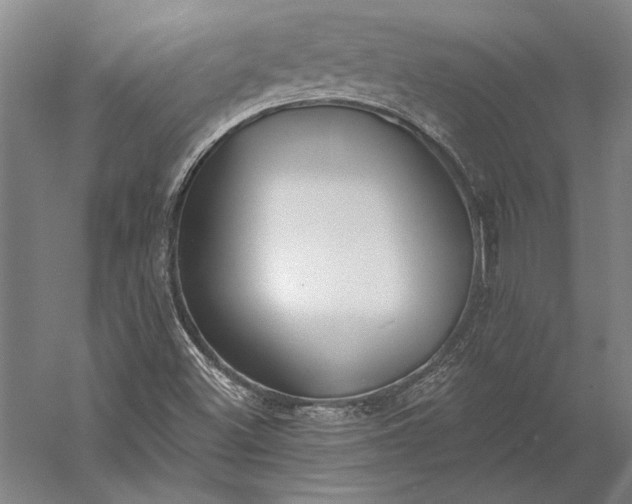 X0000056361500200509091609