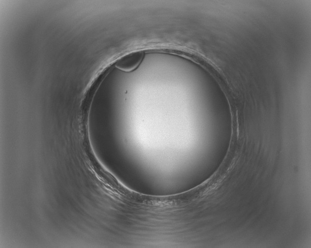 X0000056361501200509091609