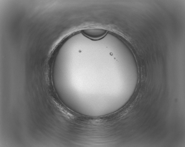 X0000056361502200509091609