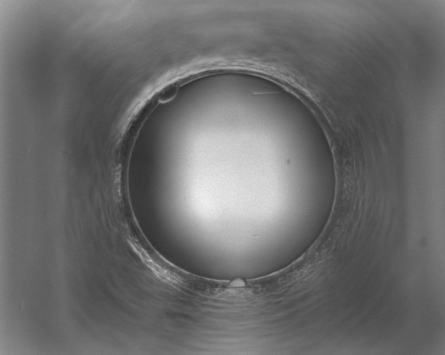 X0000056361503200509091609