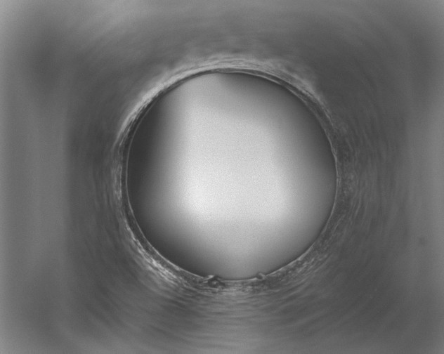 X0000056361504200509091609