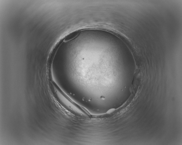 X0000056361506200509091609