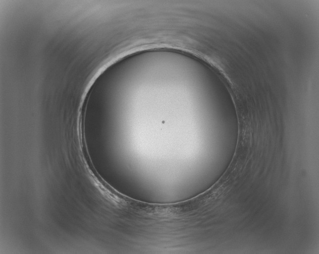 X0000056361516200509091609