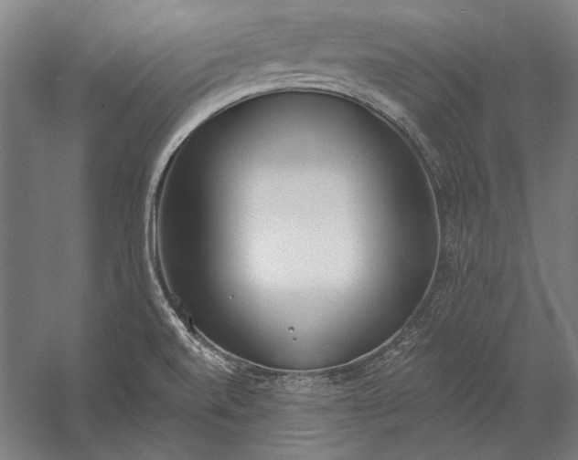 X0000056361520200509091609