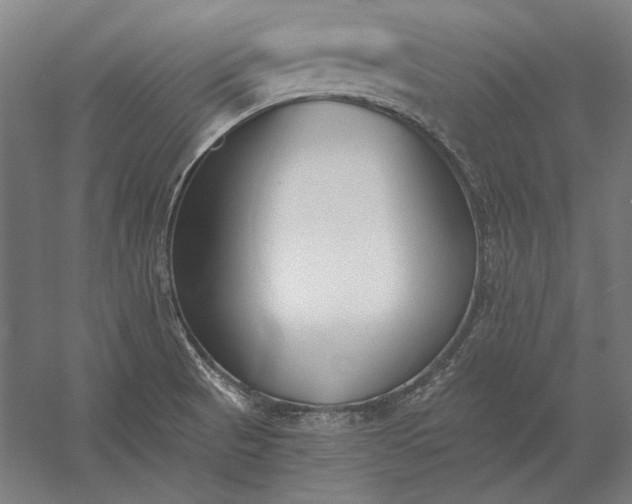 X0000056361521200509091609