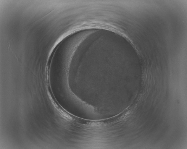 X0000056361522200509091609