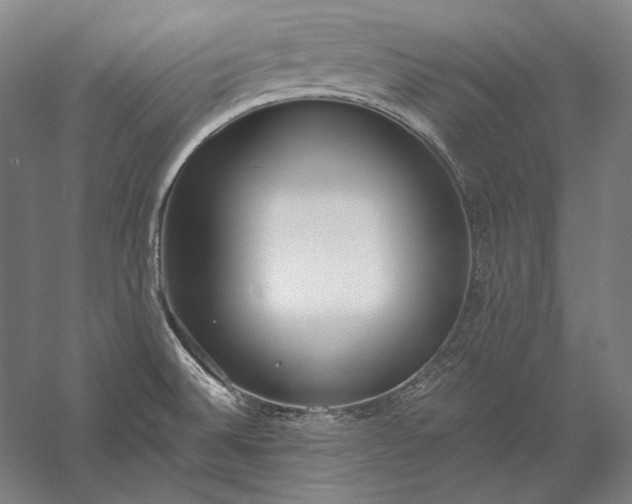 X0000056361524200509091609