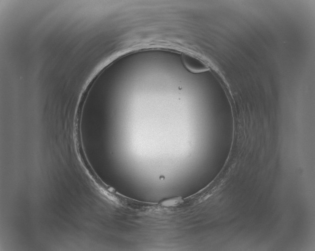 X0000056361525200509091609