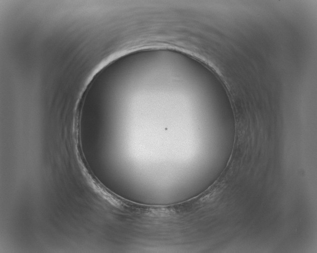 X0000056361526200509091609