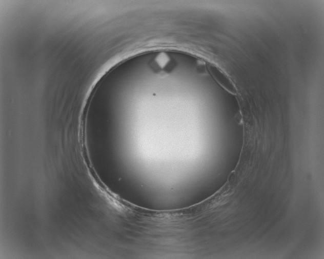 X0000056361527200509091609