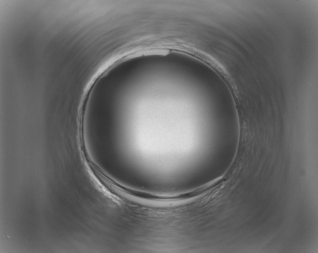 X0000056361528200509091609