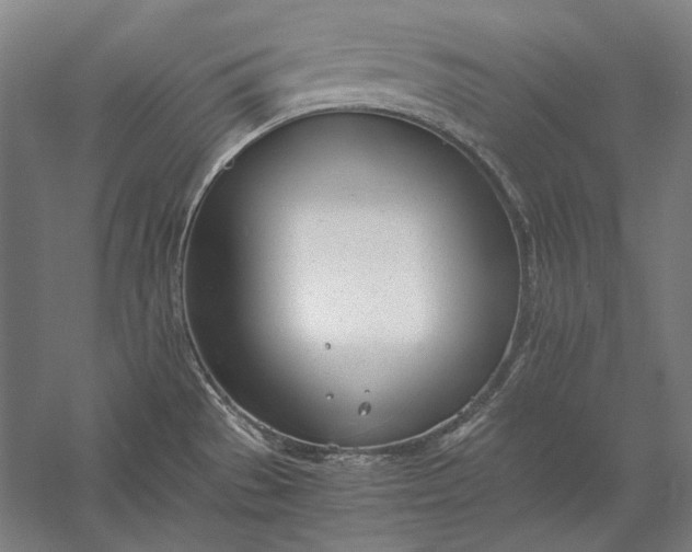 X0000056361529200509091609