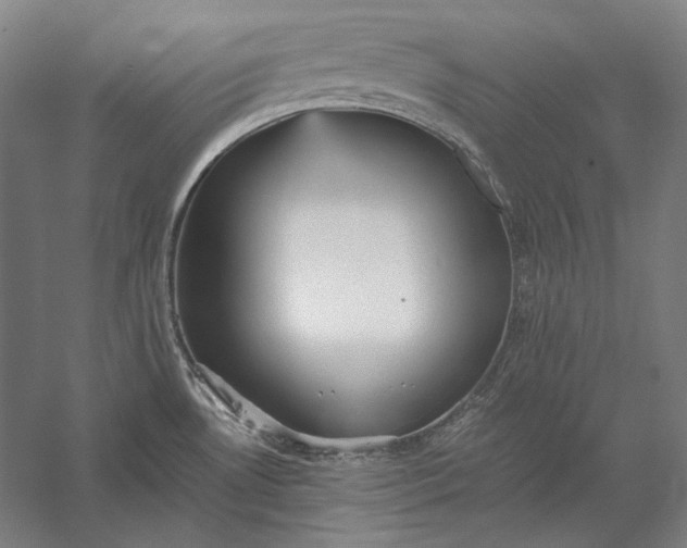 X0000056361530200509091609