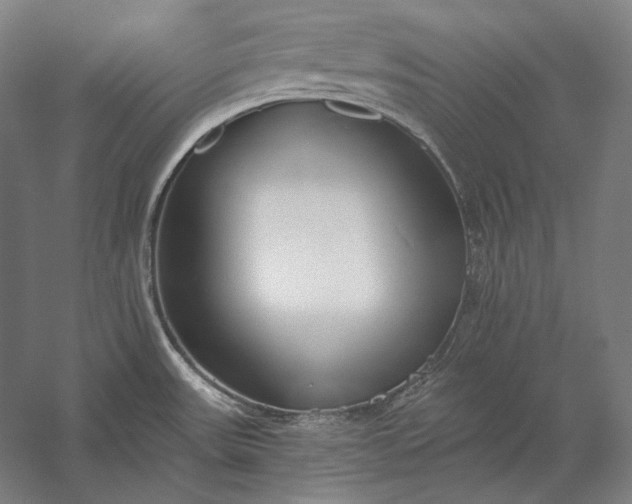 X0000056361531200509091609