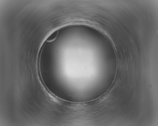 X0000056361533200509091609