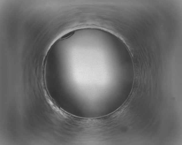 X0000056361534200509091609