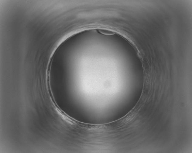 X0000056361535200509091609