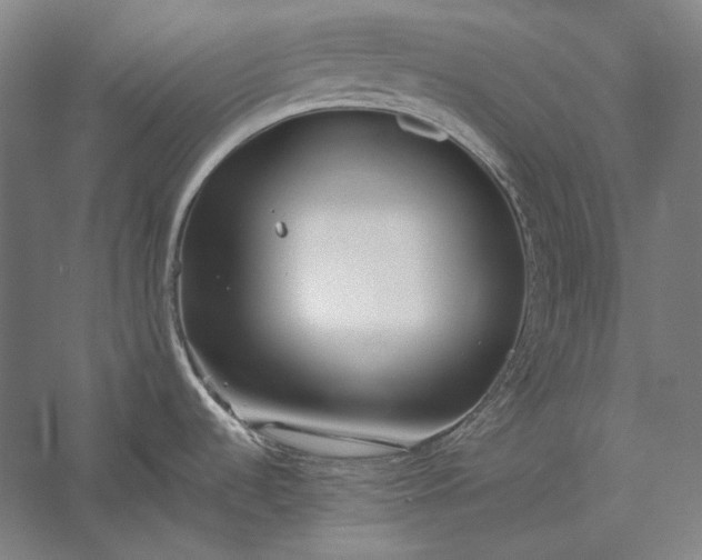 X0000056361536200509091609