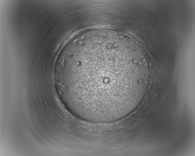 X0000056360002200509161840