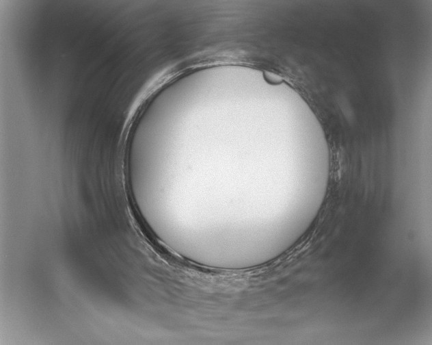 X0000056360004200509161840