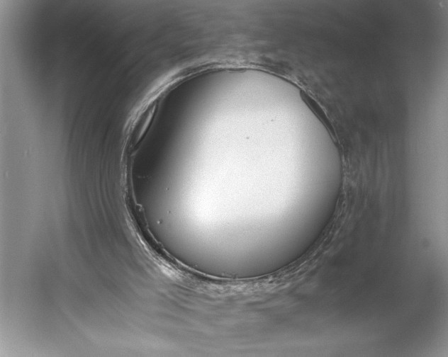 X0000056360005200509161840