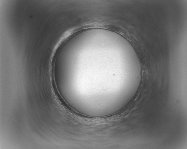 X0000056360006200509161840