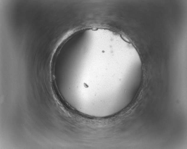 X0000056360008200509161840