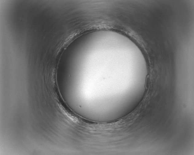 X0000056360009200509161840