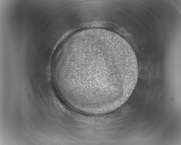 X0000056360012200509161840