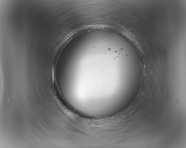 X0000056360013200509161840