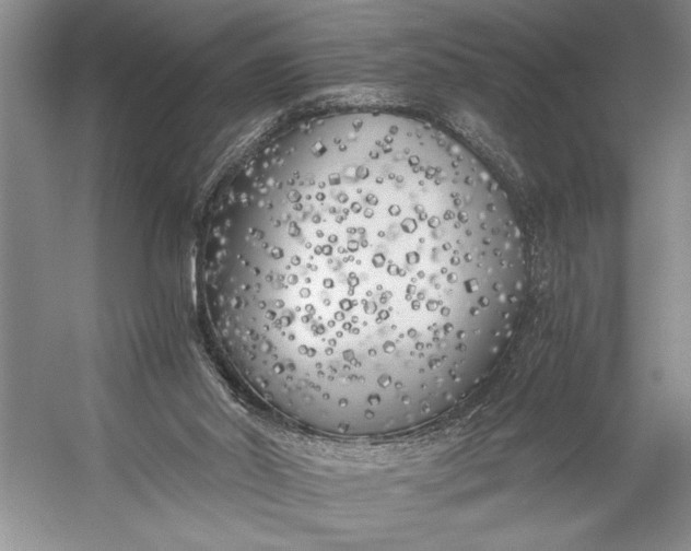 X0000056360014200509161840